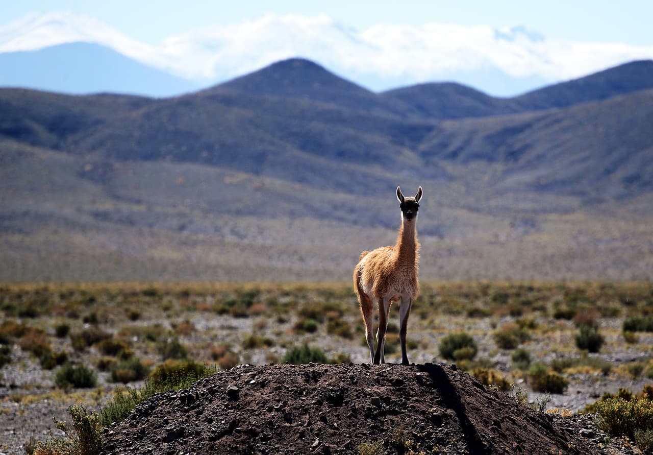Chile